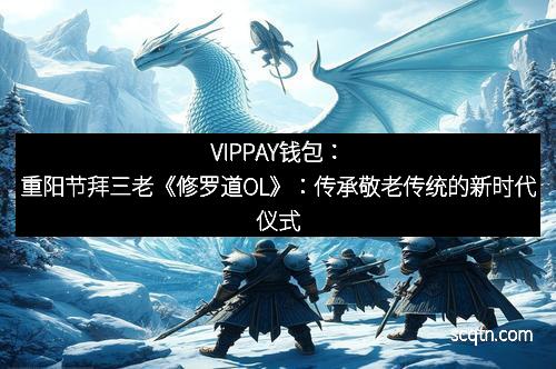 VIPPAY钱包：重阳节拜三老《修罗道OL》：传承敬老传统的新时代仪式