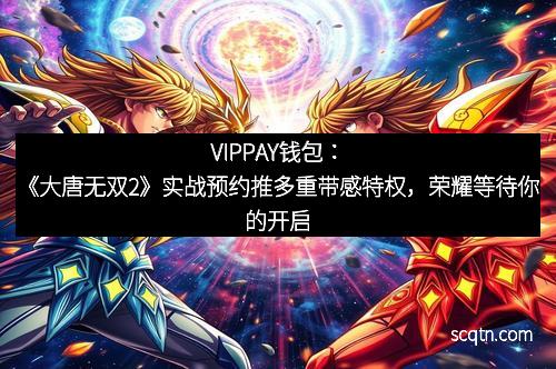 VIPPAY钱包：《大唐无双2》实战预约推多重带感特权，荣耀等待你的开启